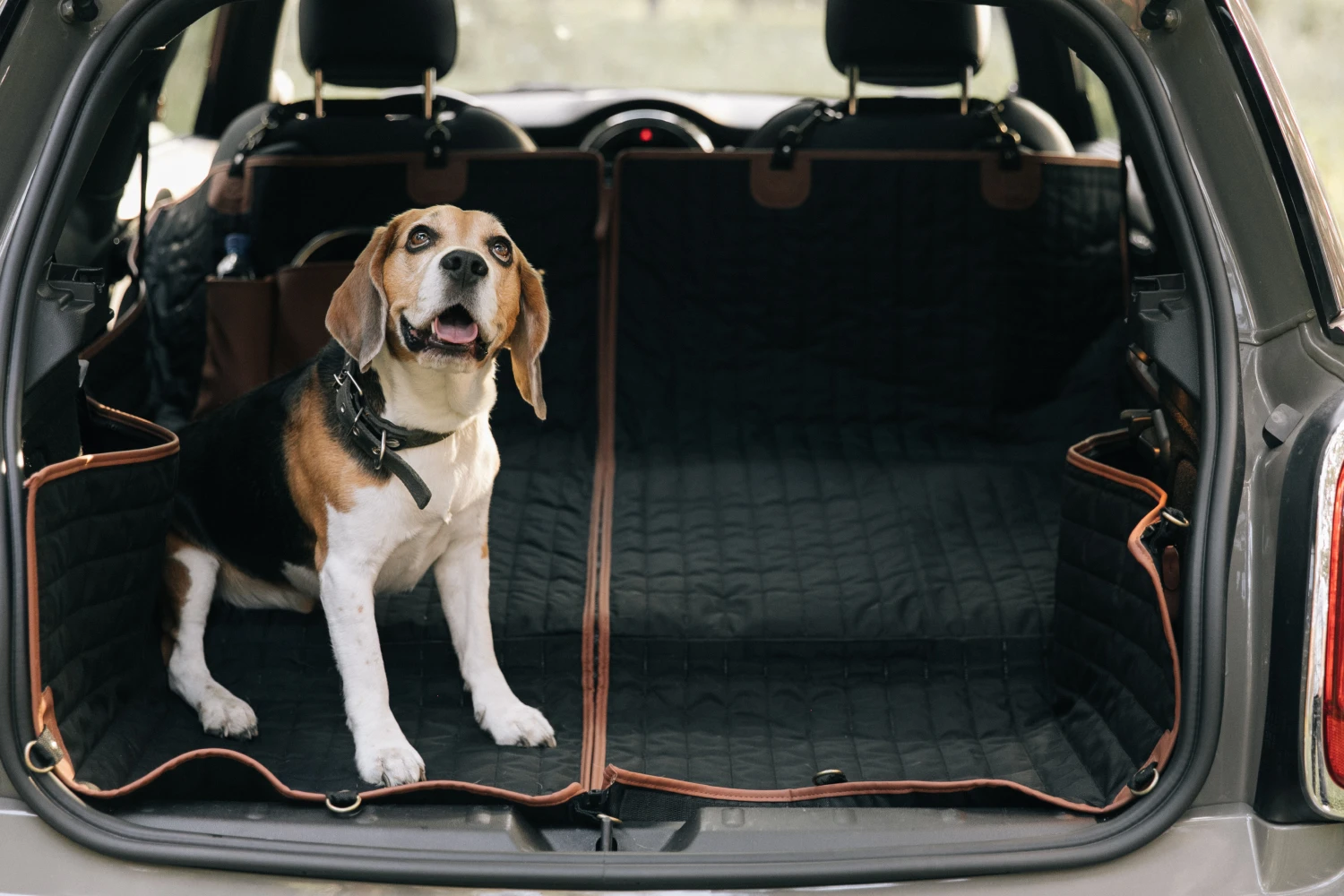 Lexus NX back seat cover for Maltese