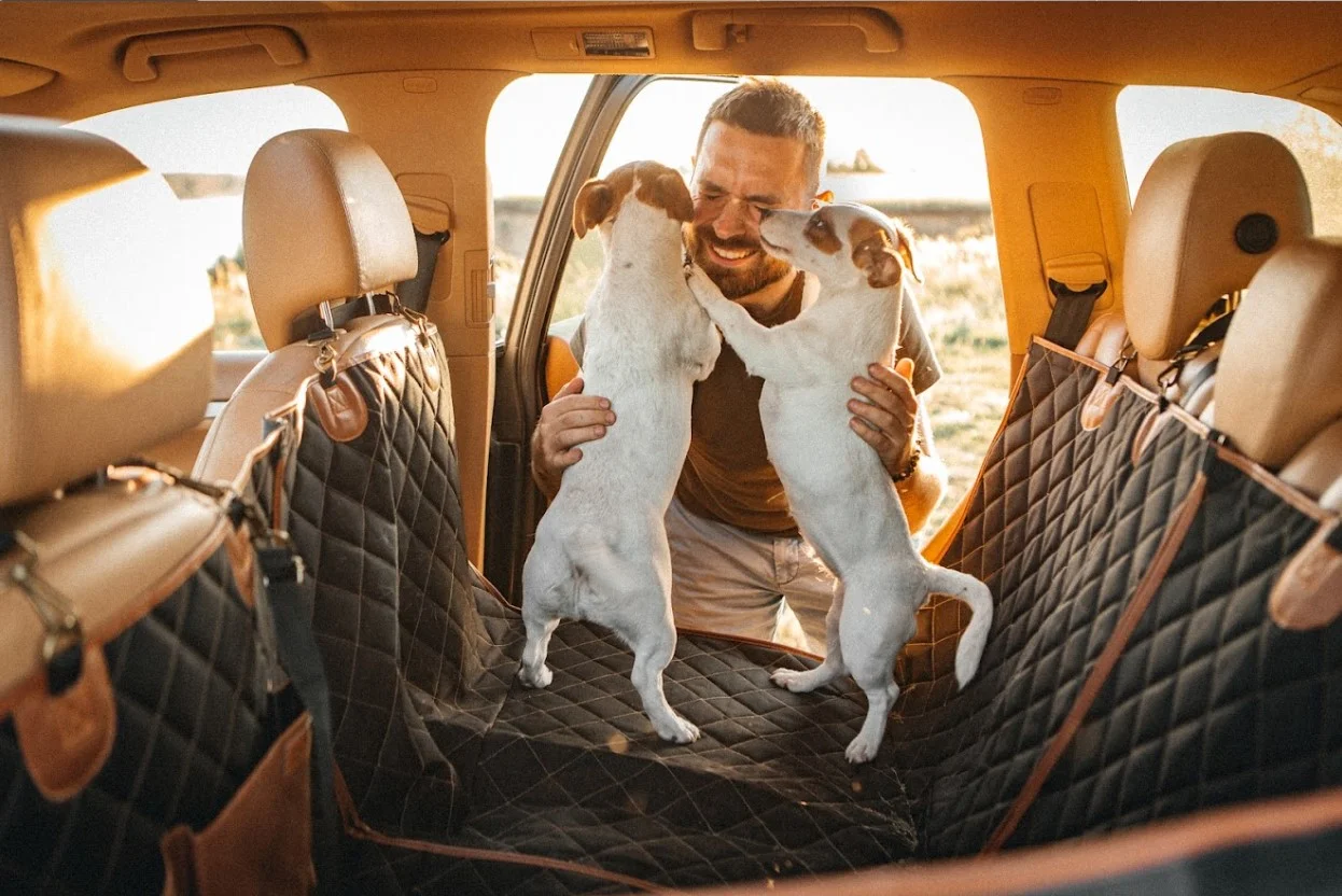 Lexus NX back seat cover for Maltese